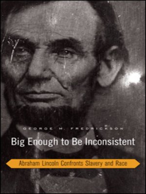 cover image of Big Enough to Be Inconsistent